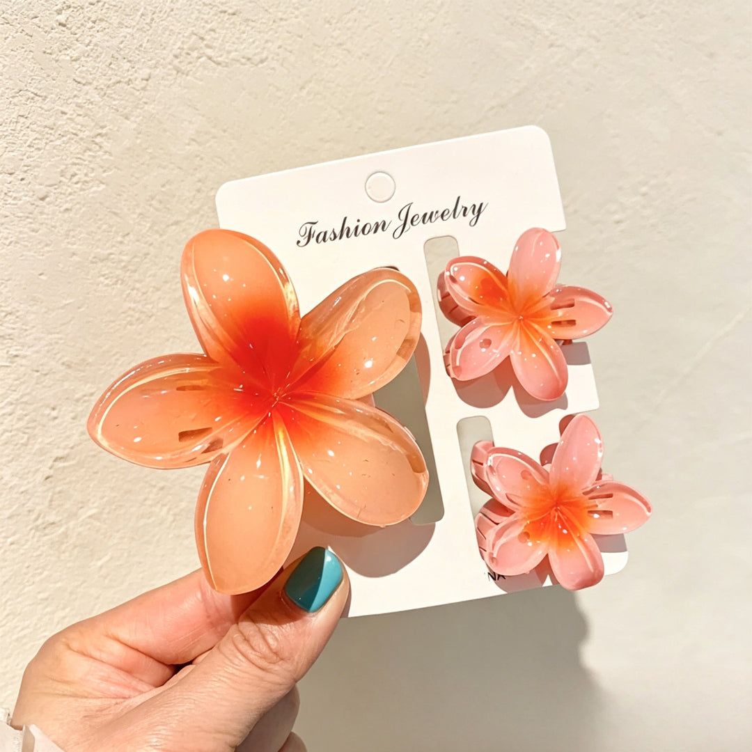 Lily gradient hair clip
