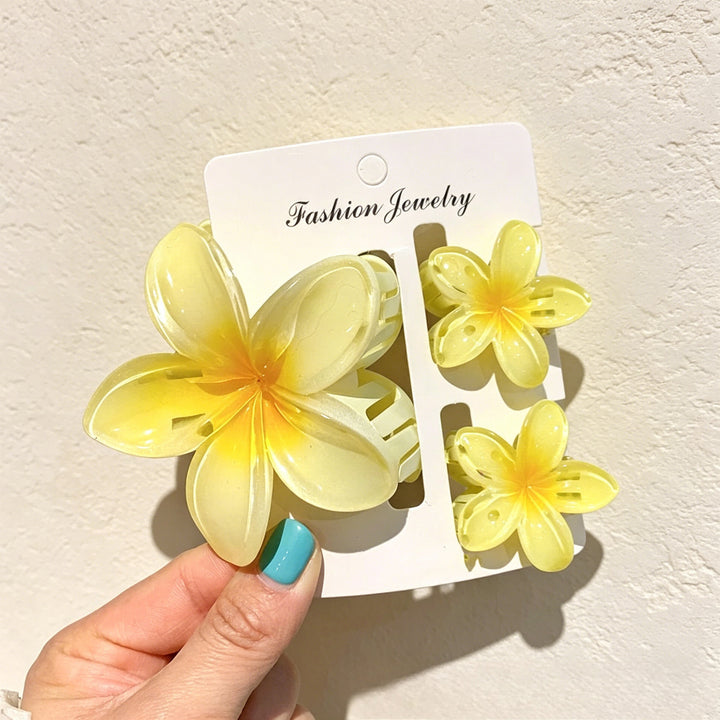 Lily gradient hair clip