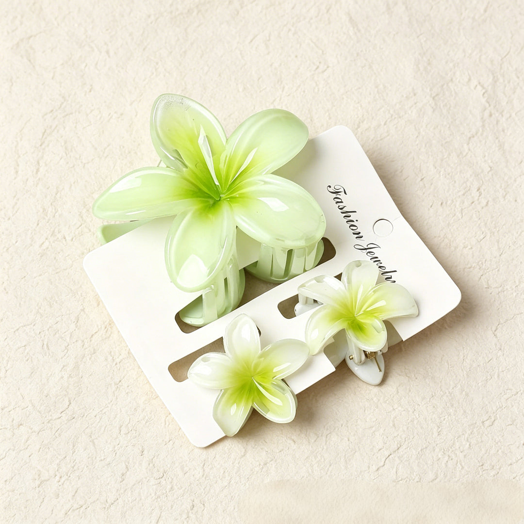 Lily gradient hair clip