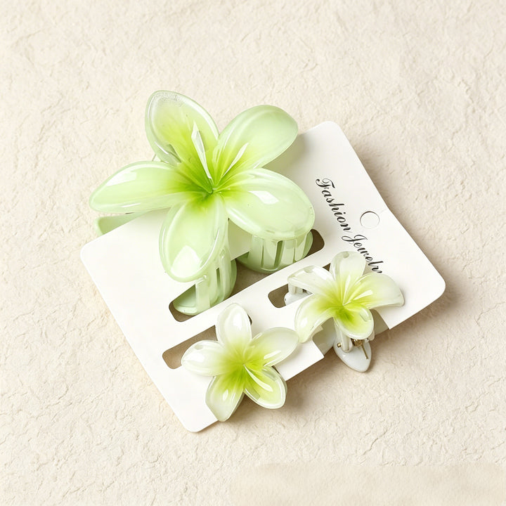 Lily gradient hair clip
