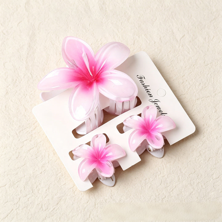 Lily gradient hair clip