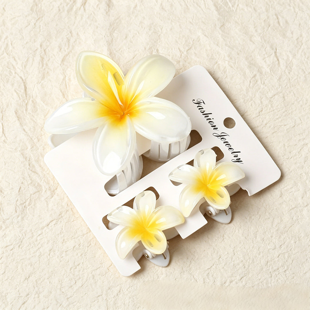 Lily gradient hair clip