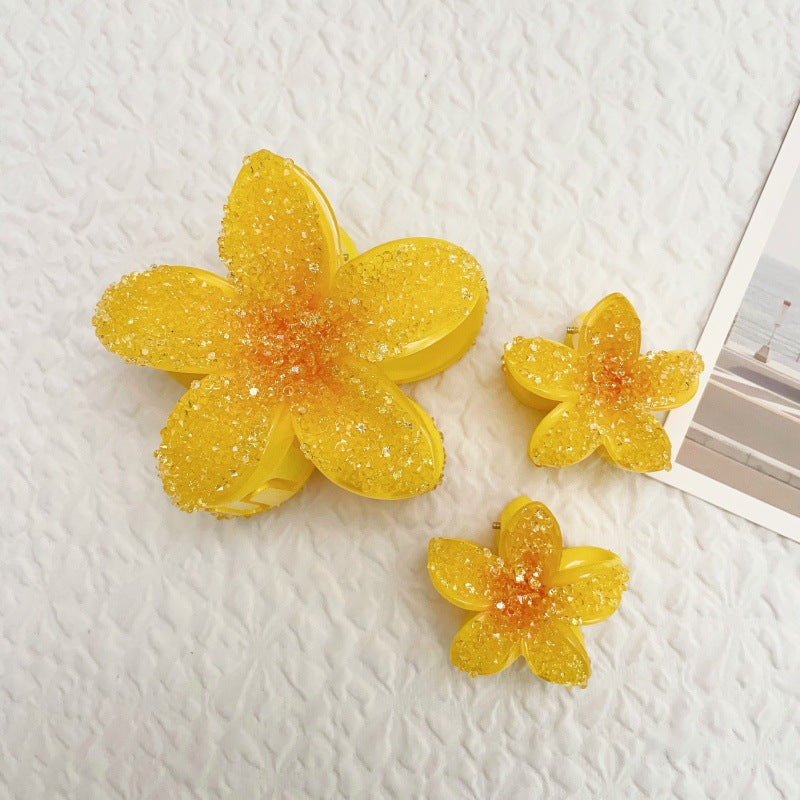 Lily gradient hair clip