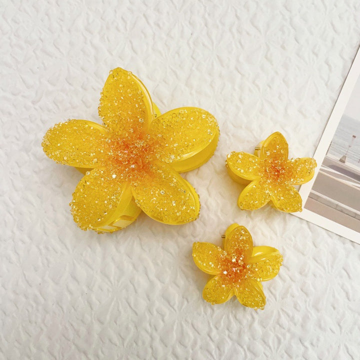 Lily gradient hair clip