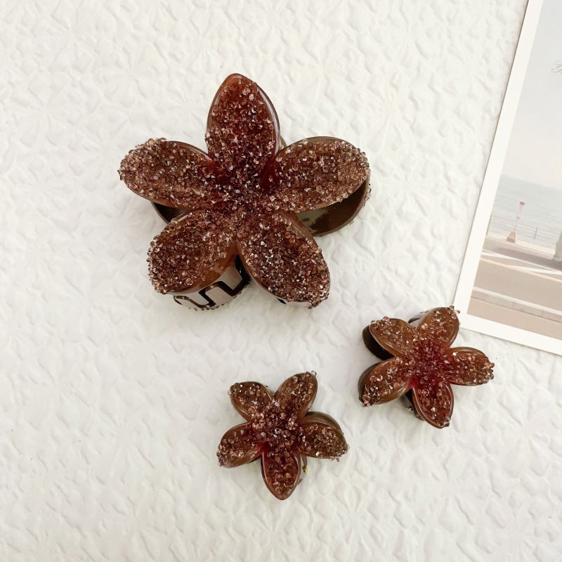 Lily gradient hair clip